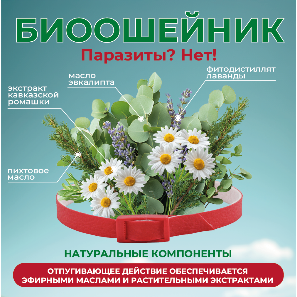 Карточка 3.png