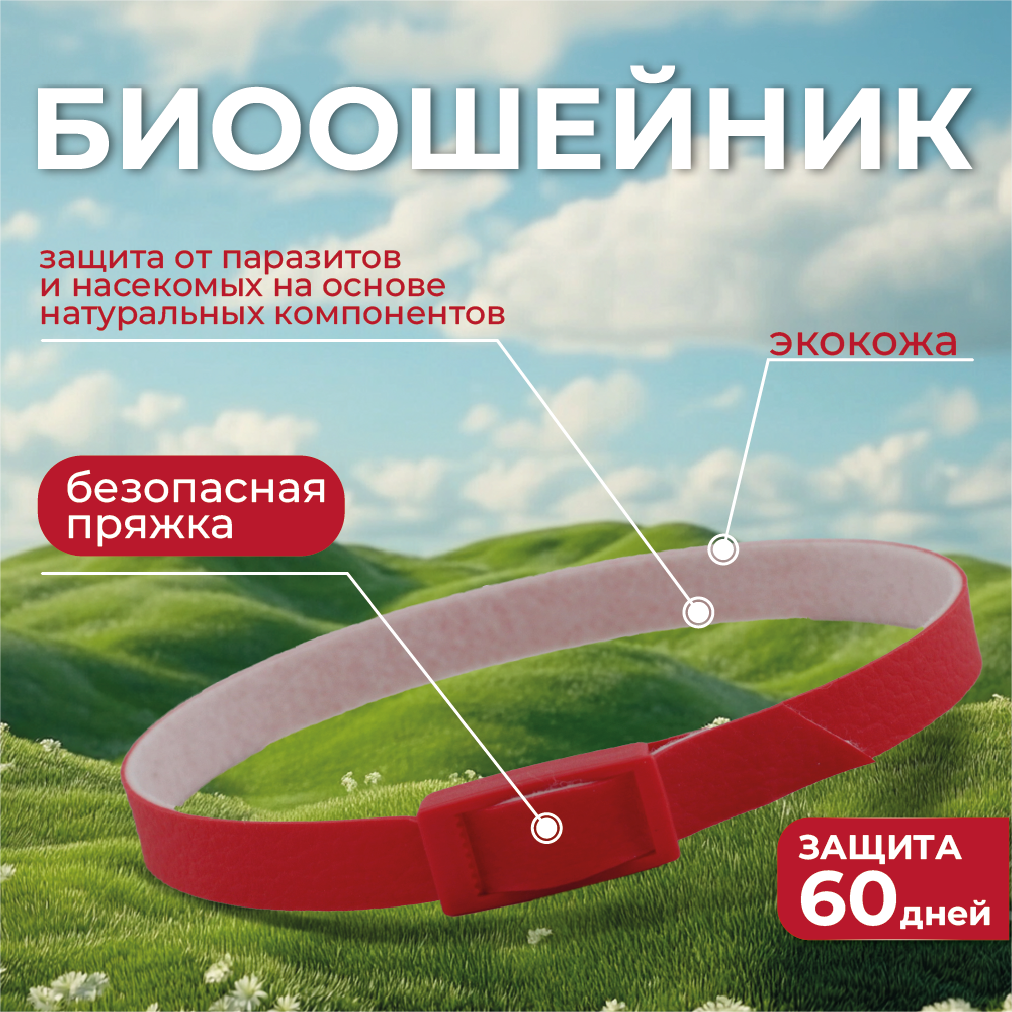 Карточка 4.png