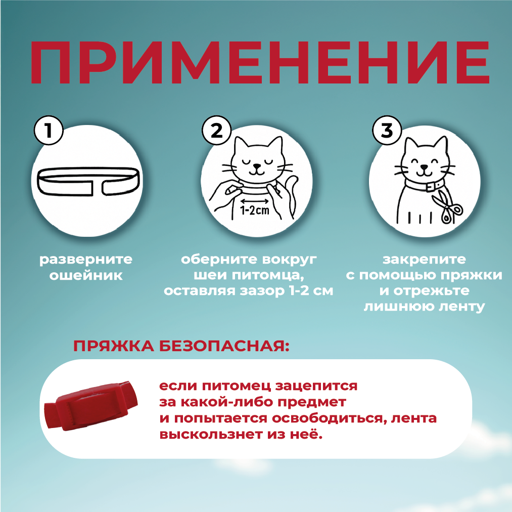 Карточка 5.png