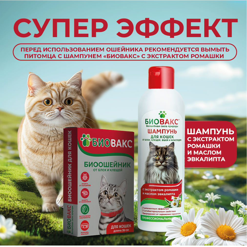 Карточка 6.png