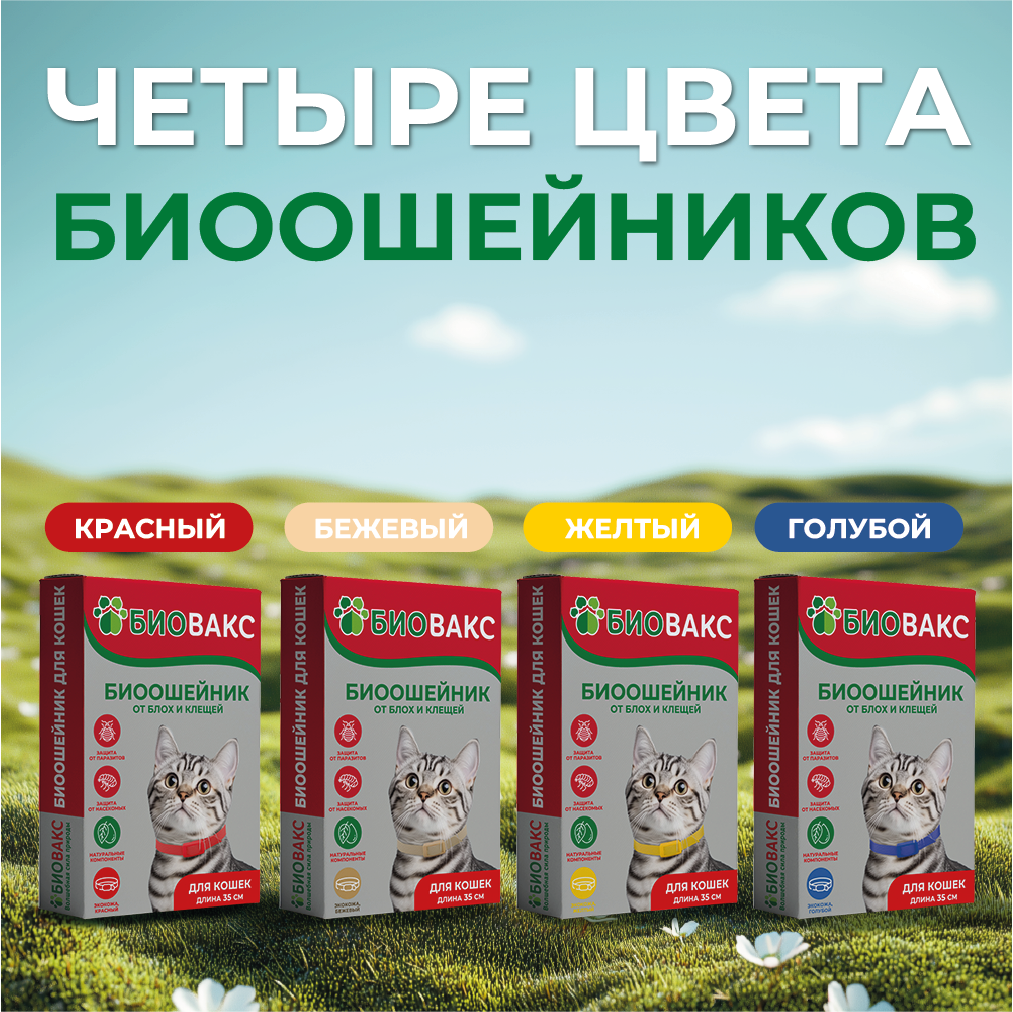 Карточка 8.png
