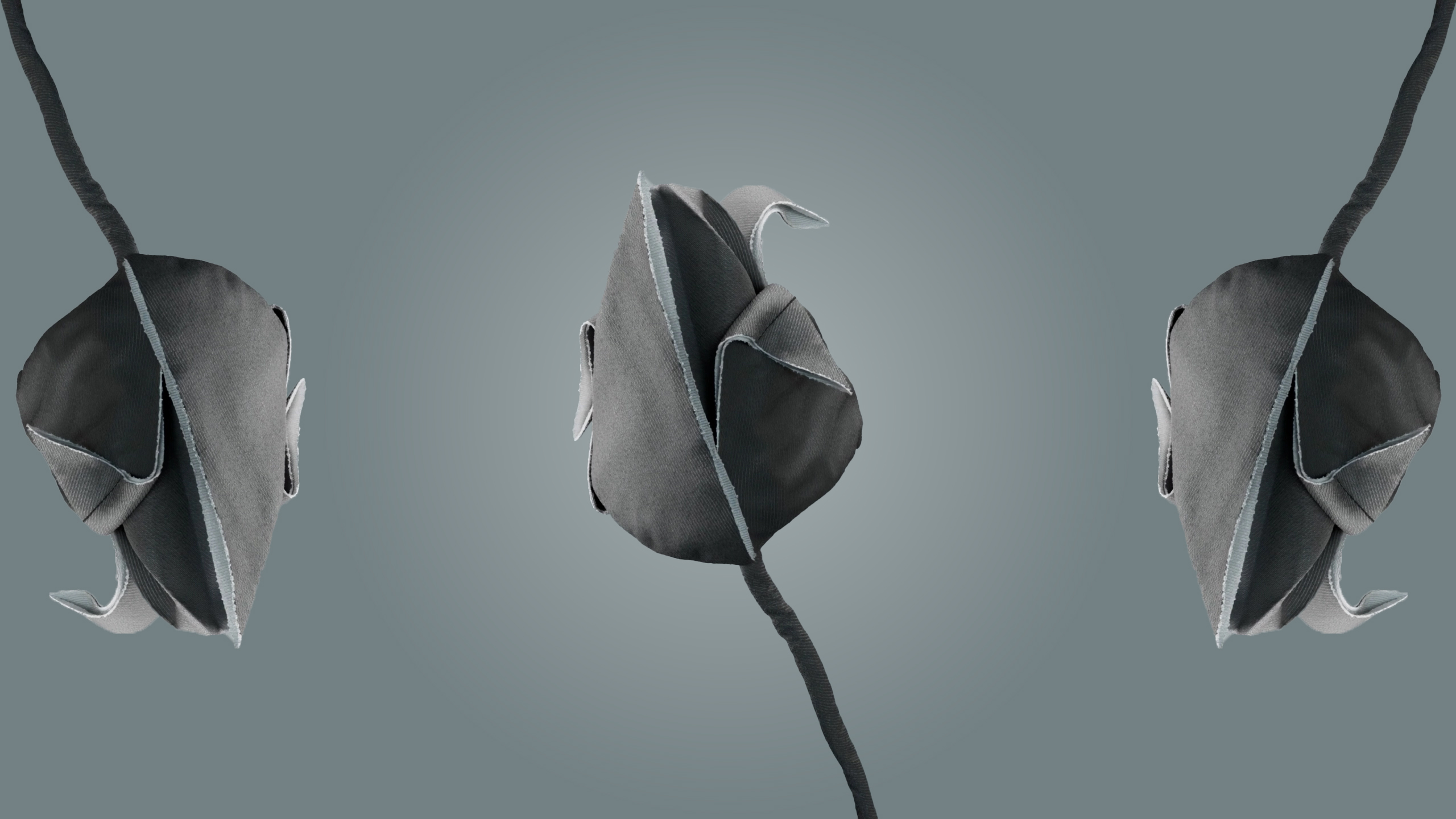 SLTulip.jpg