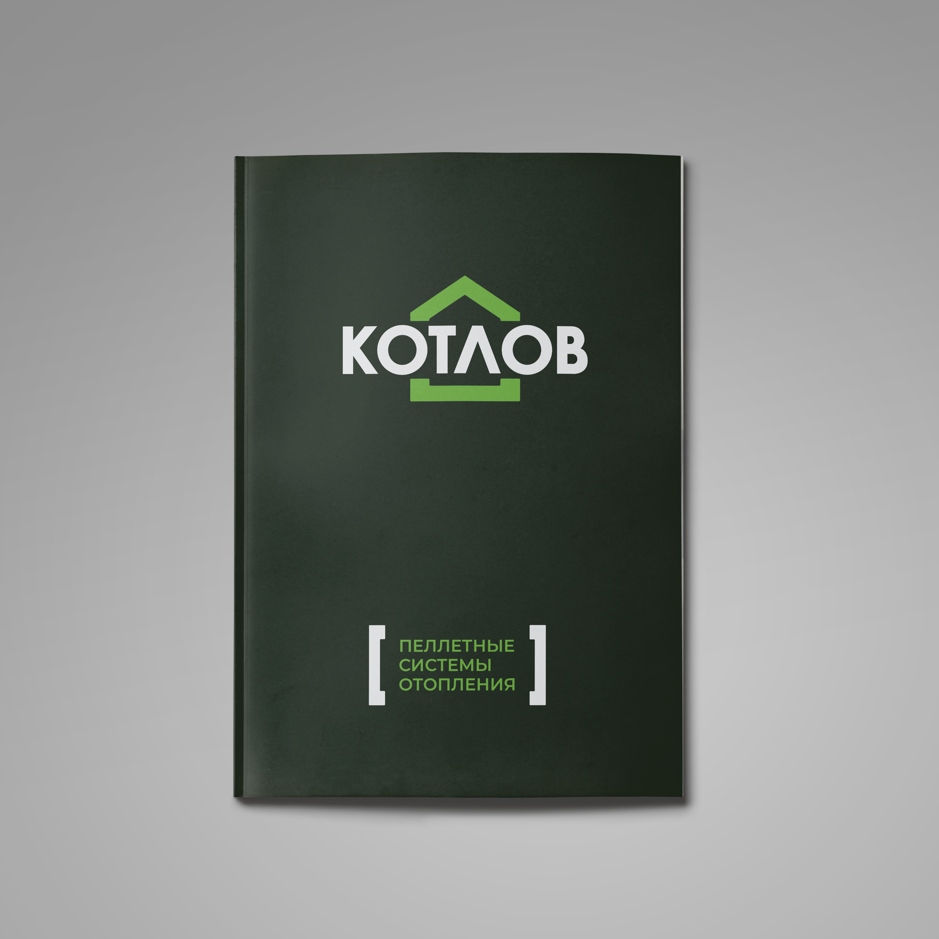 котлов1.jpg