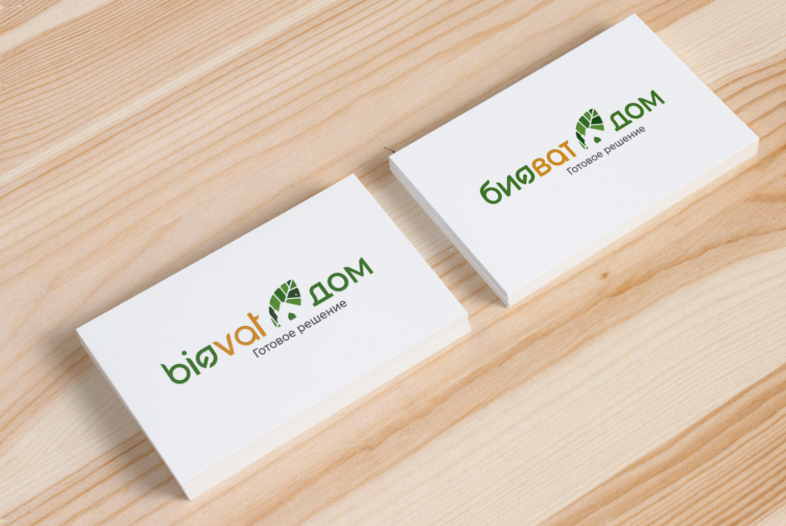 designGetto-fl-biodom-mockup-1.jpg