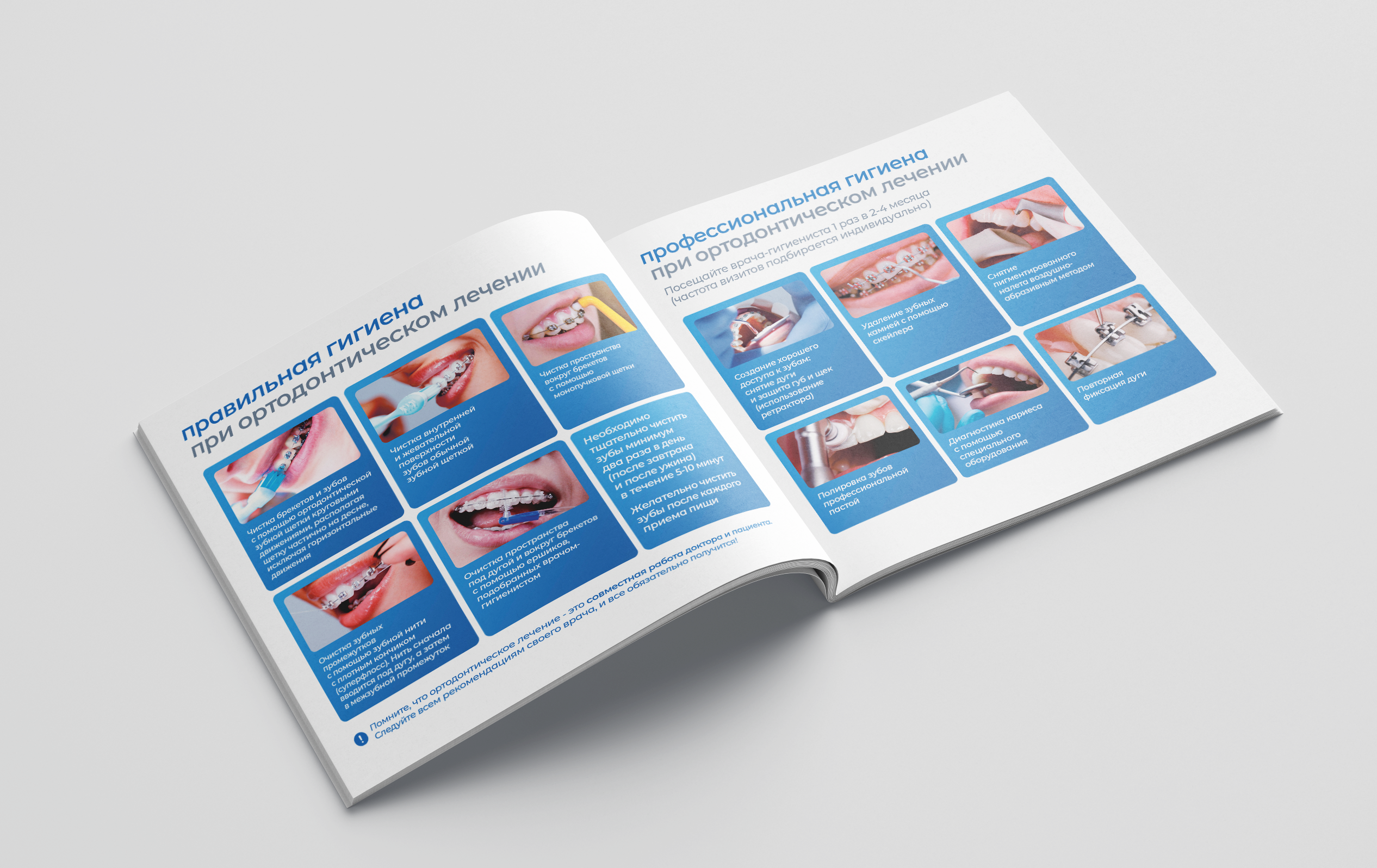 Free_Square_Brochure_Mockup 2.png