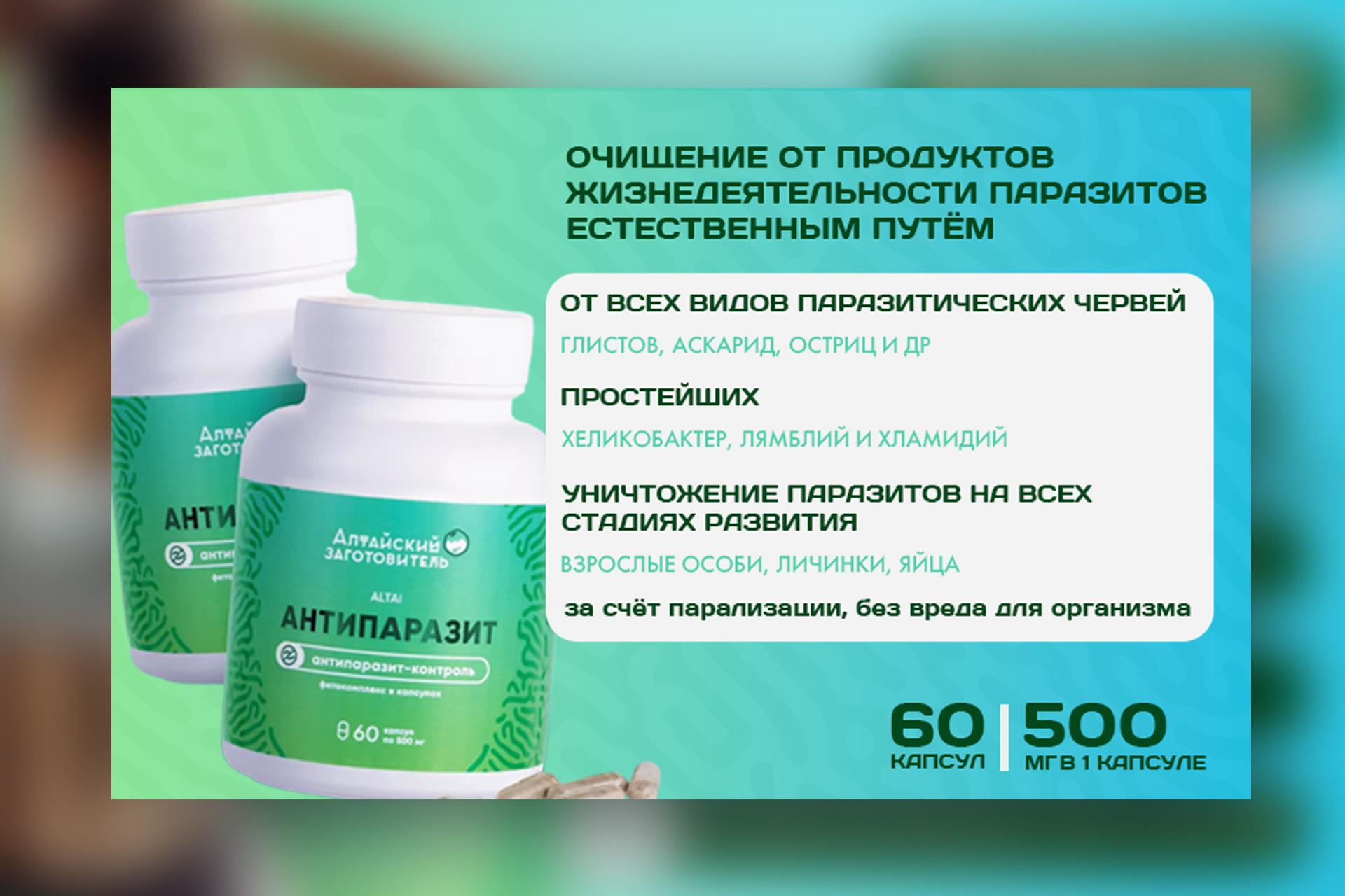 карточка _2портфолио_ант.jpg