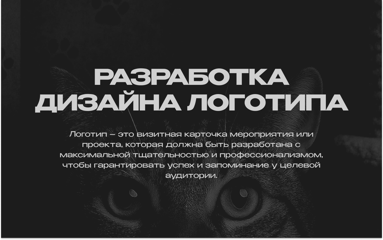 Разработка дизайна логотипа