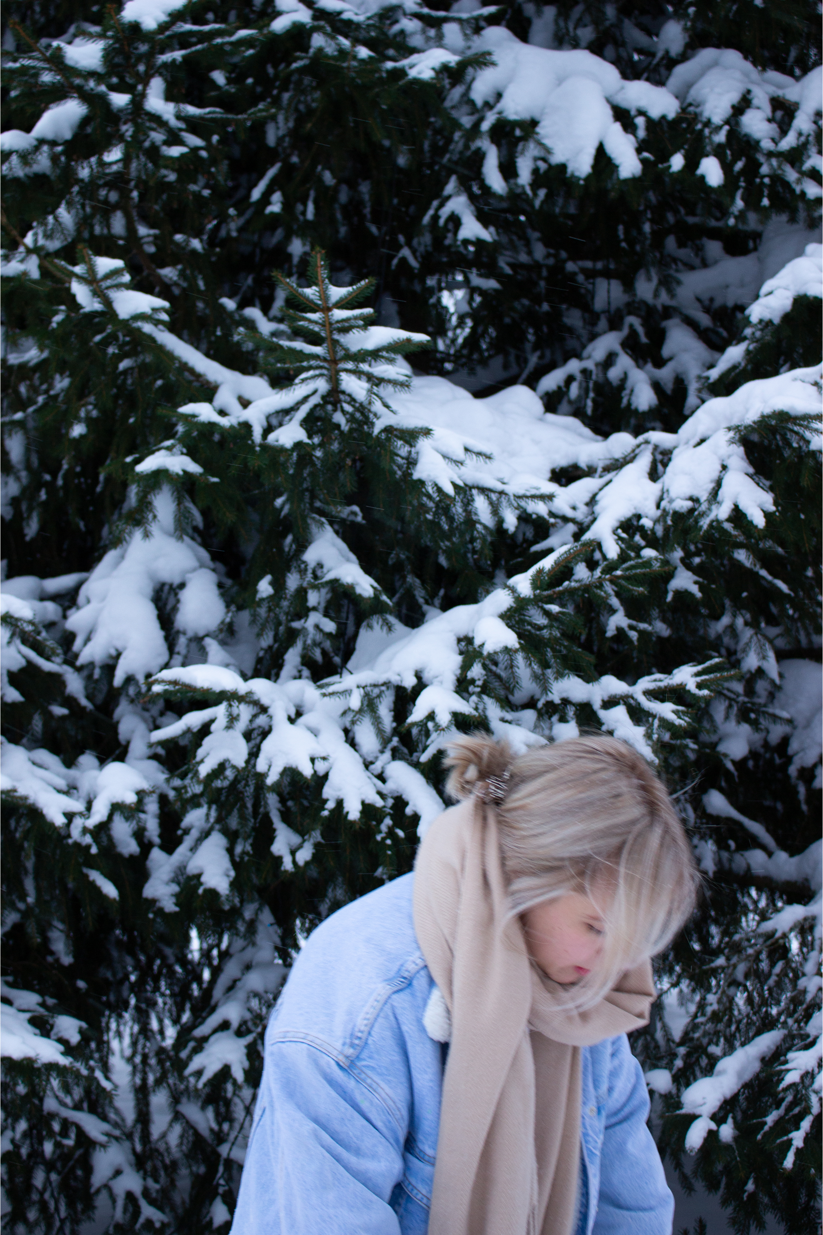 IMG_6378.png