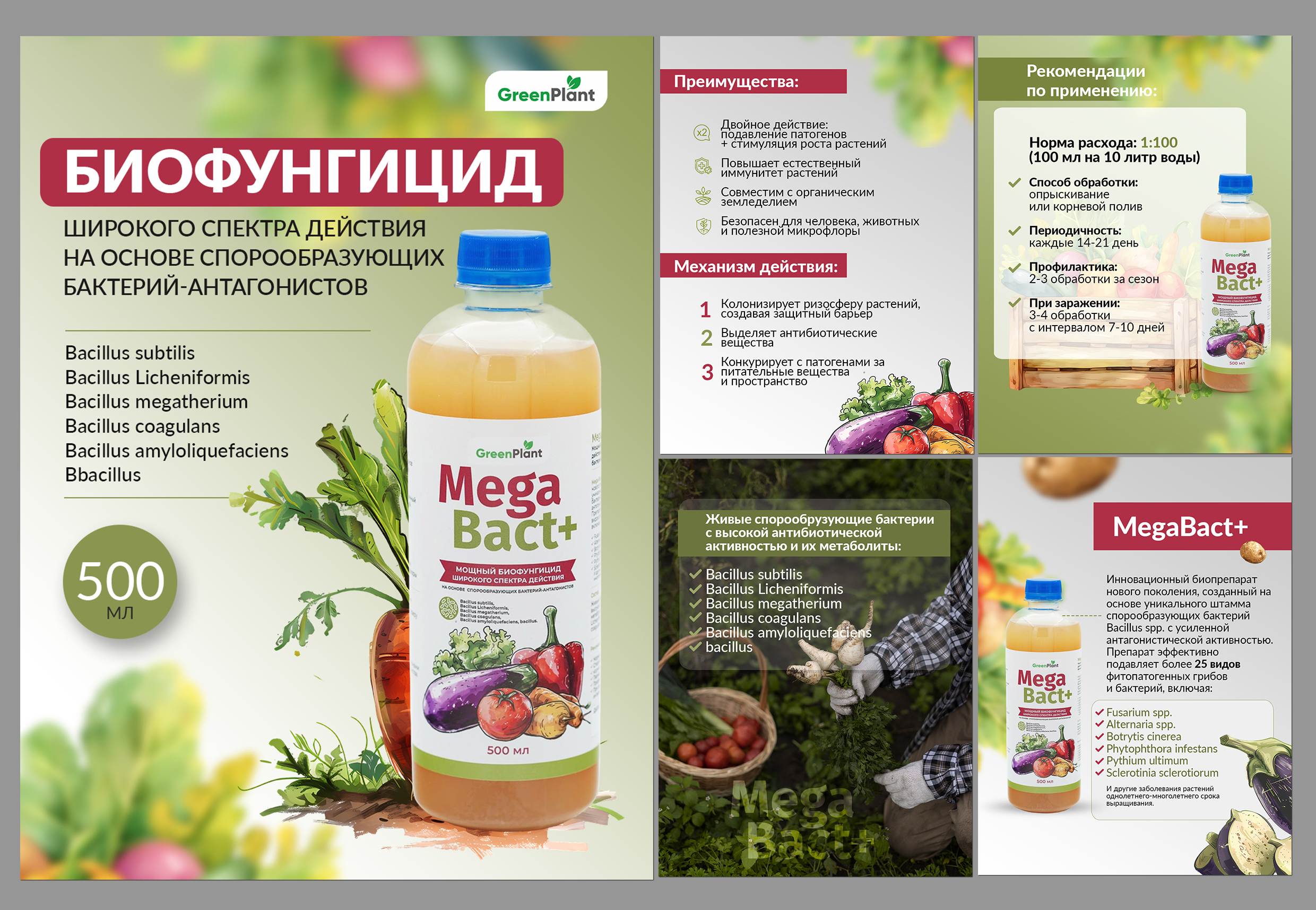 превью.jpg