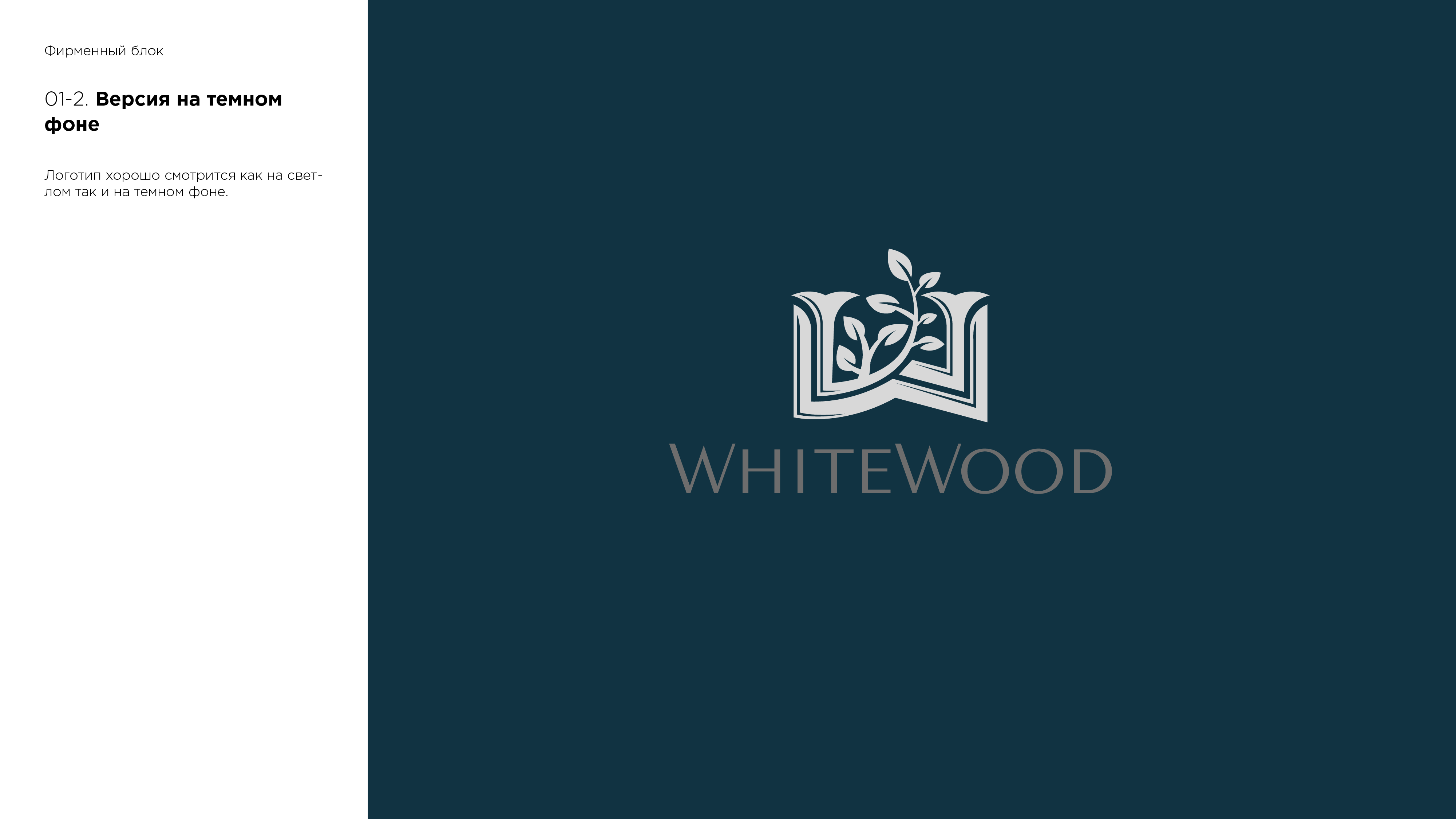 presentation_1_Монтажная область 2.png