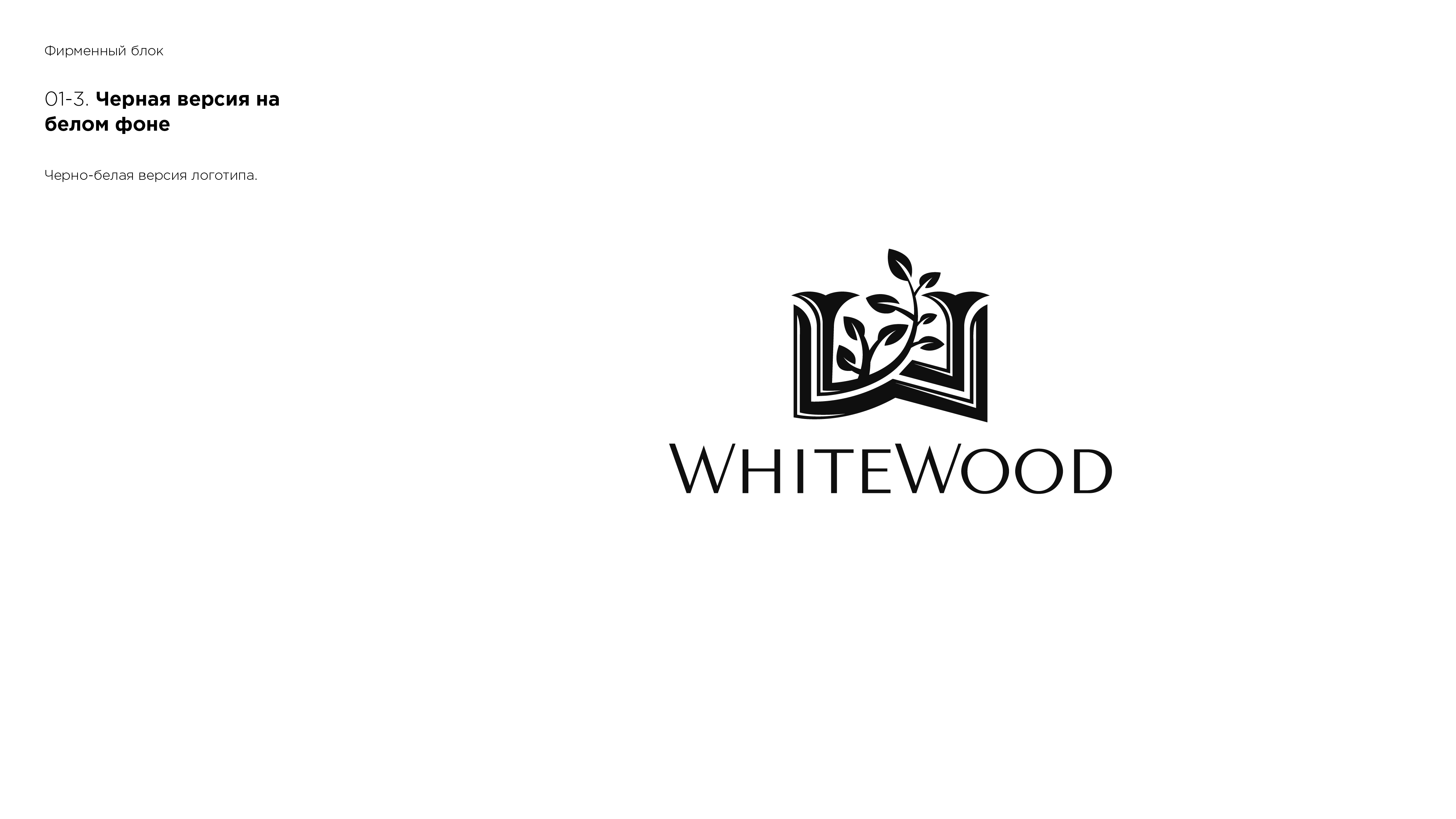 presentation_1_Монтажная область 3.png