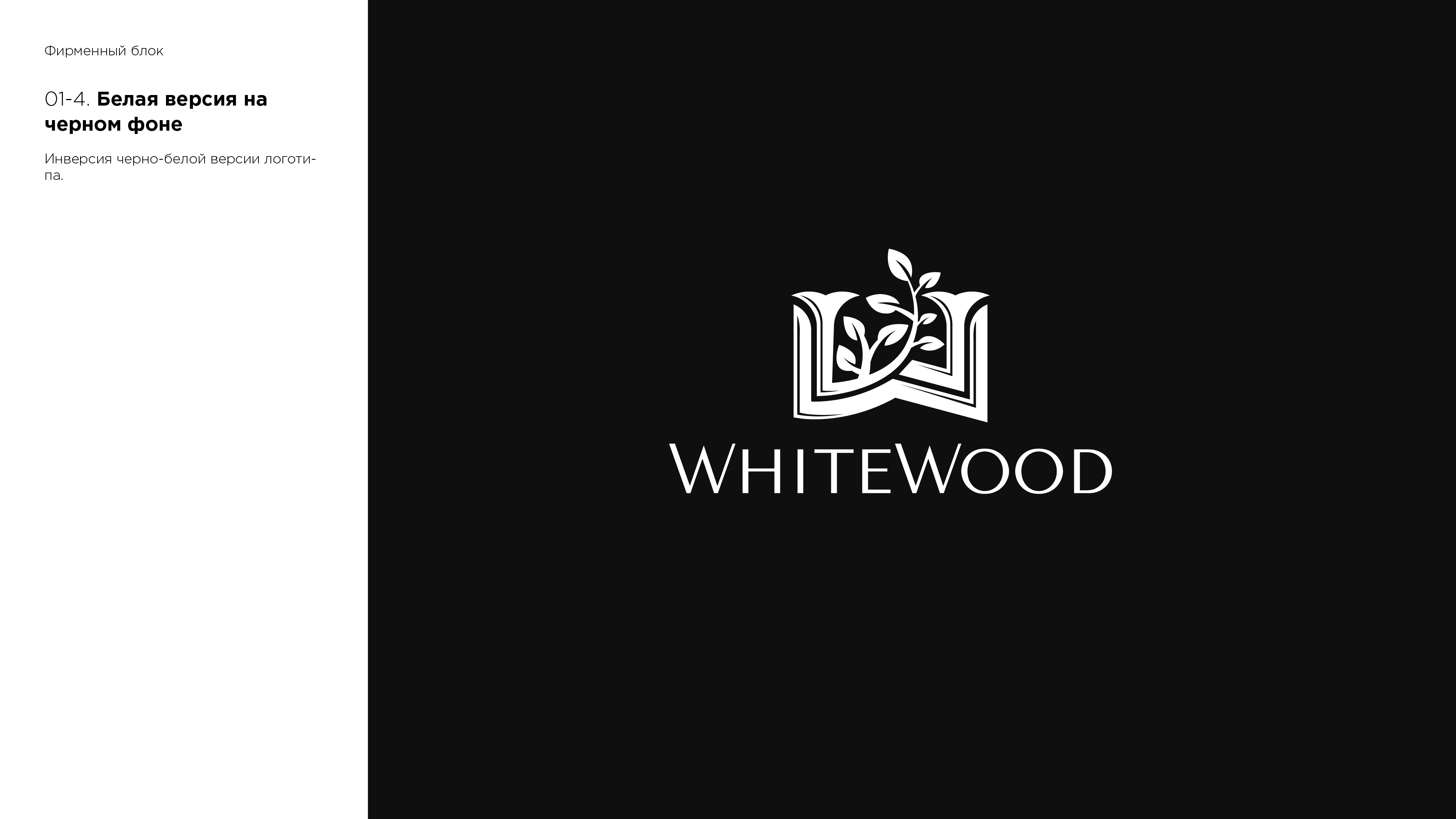 presentation_1_Монтажная область 4.png