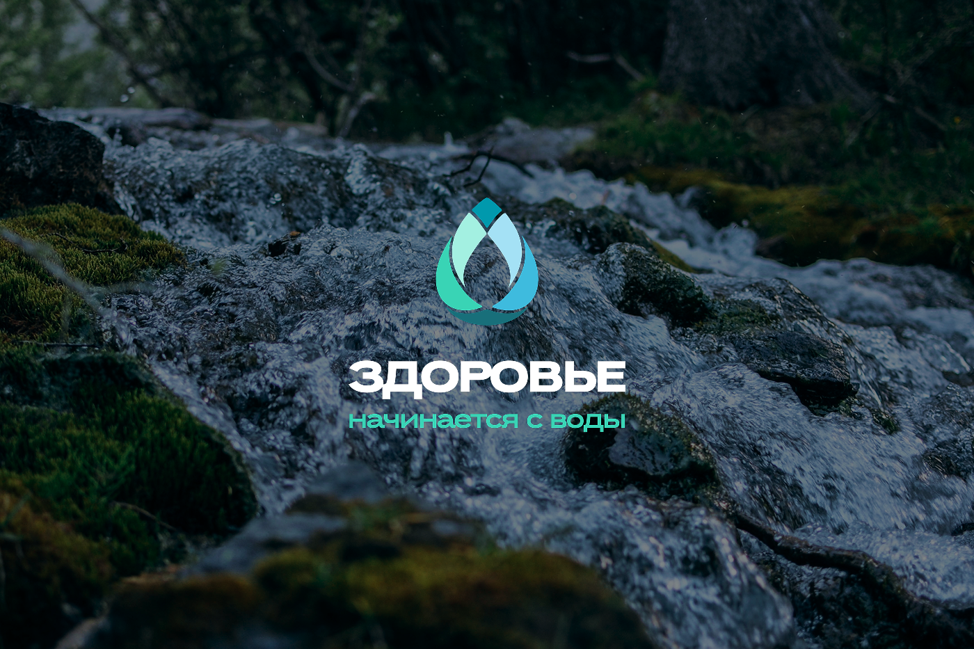 "Здоровье начинается с воды" — логотип и стиль
