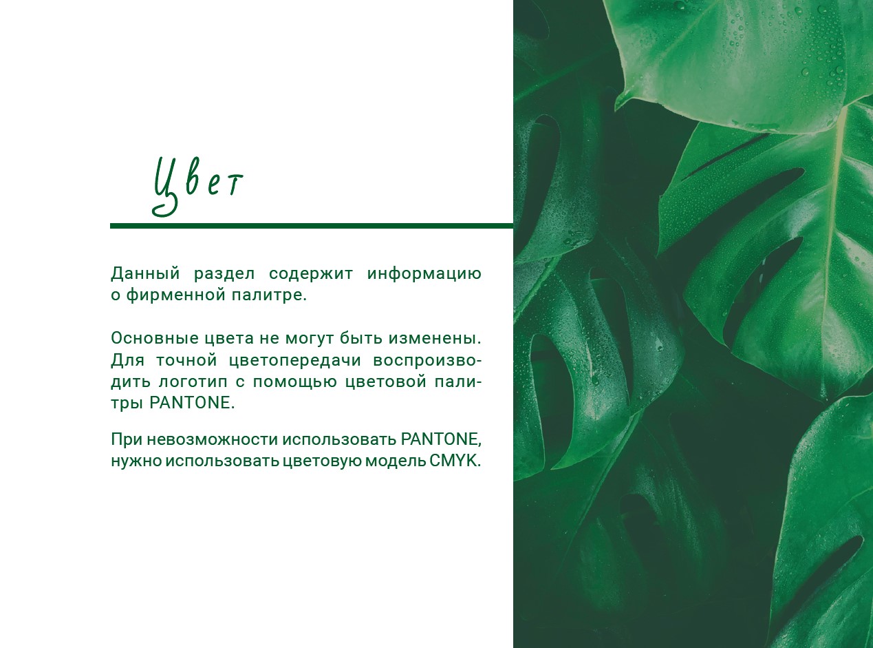 Снимок экрана 2025-05-22 064944.jpg