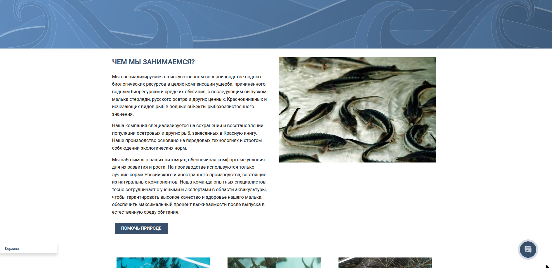 Снимок экрана_2025-05-21_17-34-20.png
