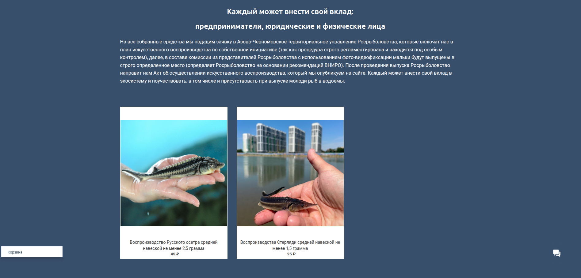 Снимок экрана_2025-05-21_17-34-20.png