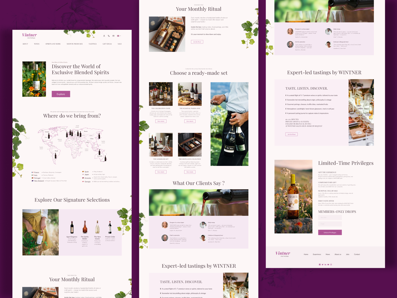 new newdribbble 2 wine store.jpg