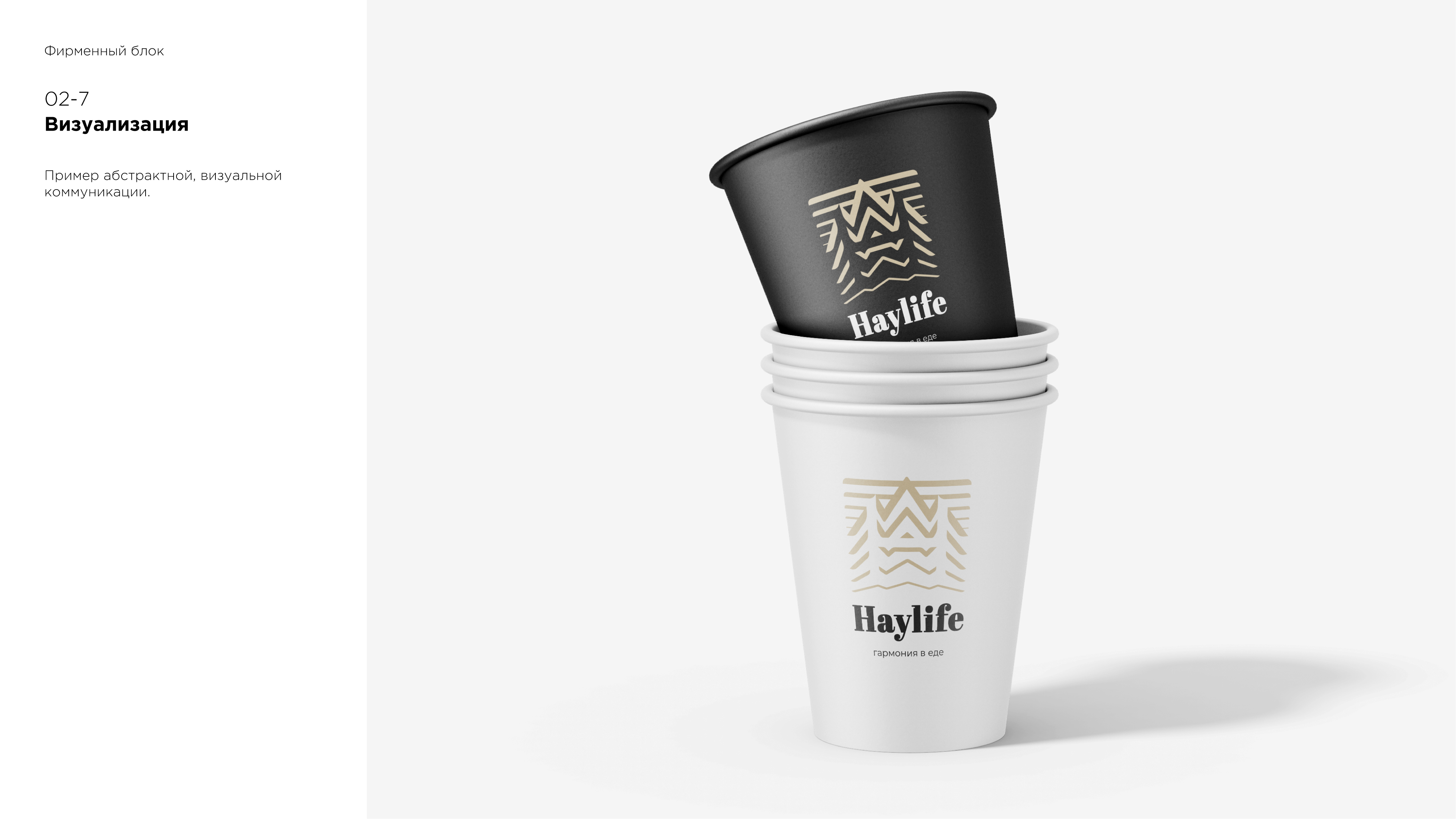 2_HAYLIFE_7.jpg