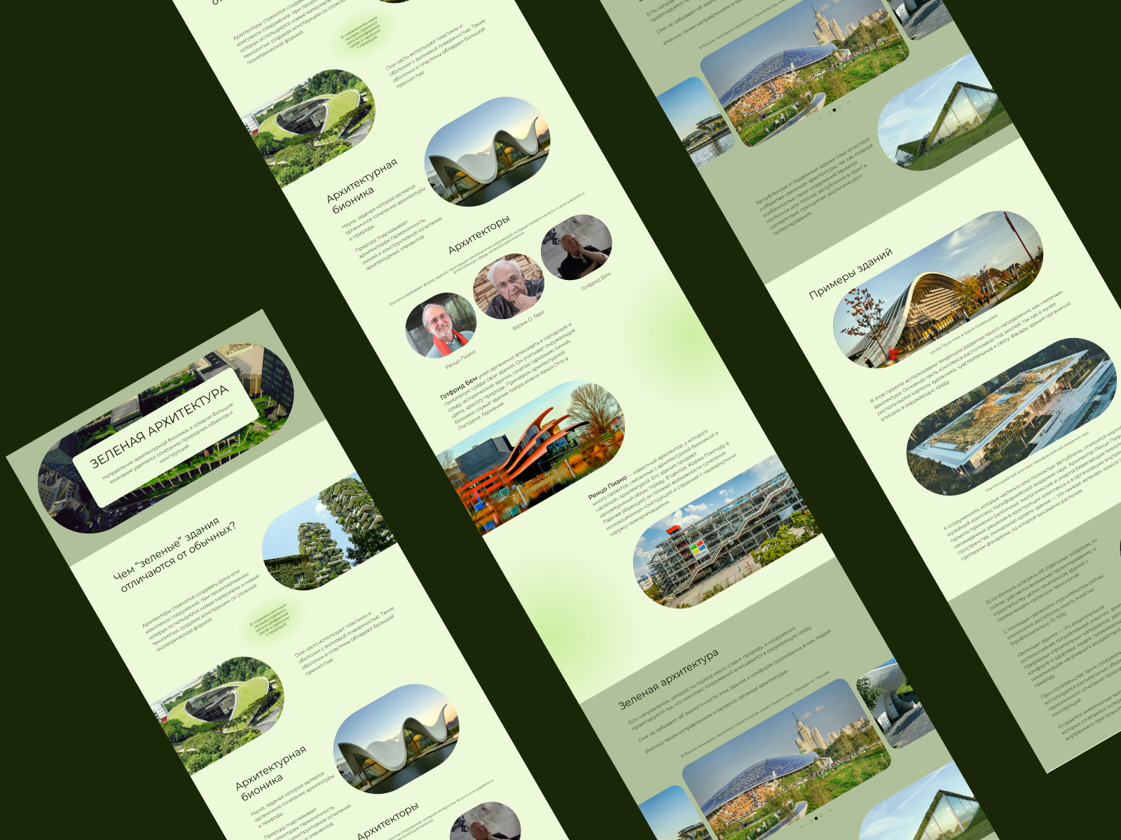 лонгрид зел архитектура 1 Dribbble.png
