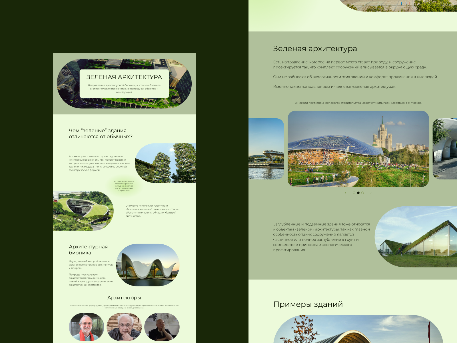 лонгрид зел архитектура 2 Dribbble.png