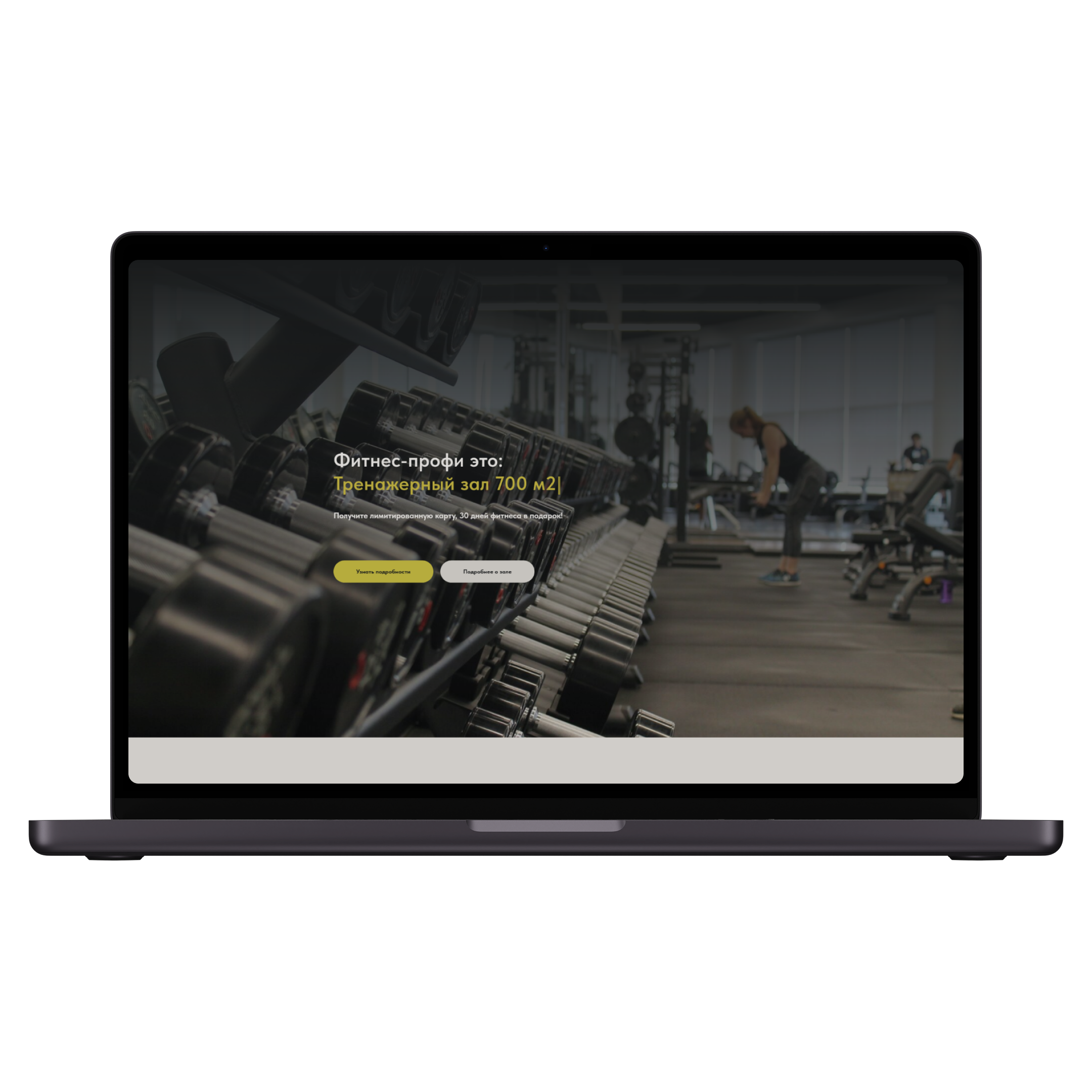 Разработка сайта фитнес-центра «Фитнес-профи»