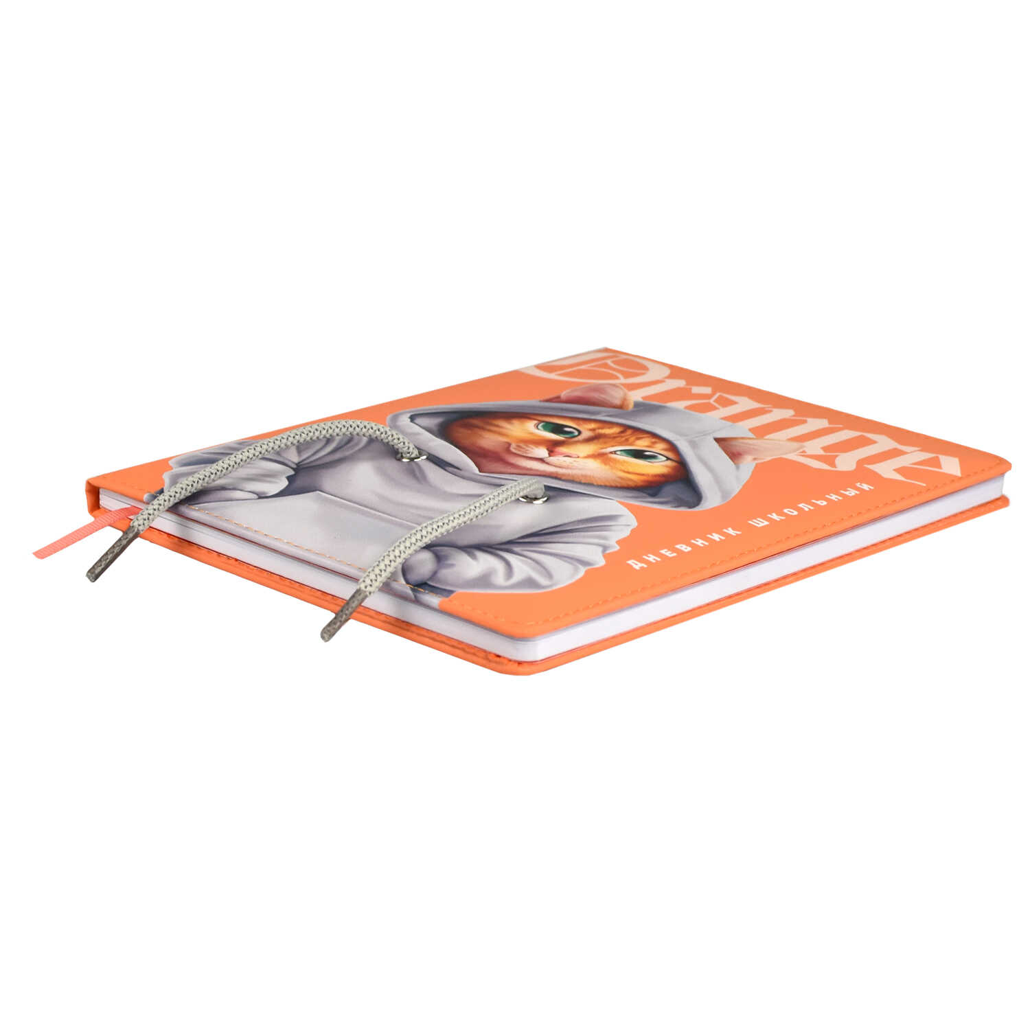 56fc9d2c_3cf7_11ee_ba94_d05099d5d12d_c5ba8fff_f0c0_11ee_ba96_d05