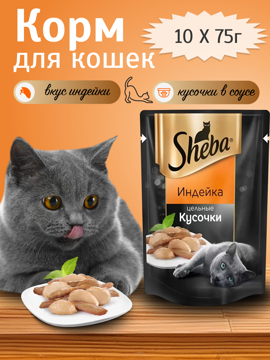 корм для кошек