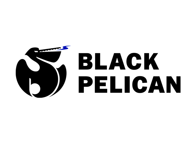 Разработка логотипа для производителя фургонов рефрижераторов Black Pelican