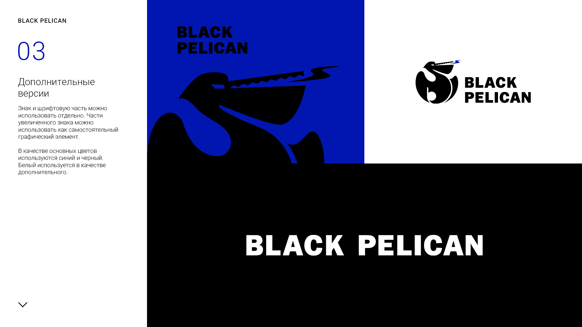 Black_pelican_logo_presentation_1-3.jpg