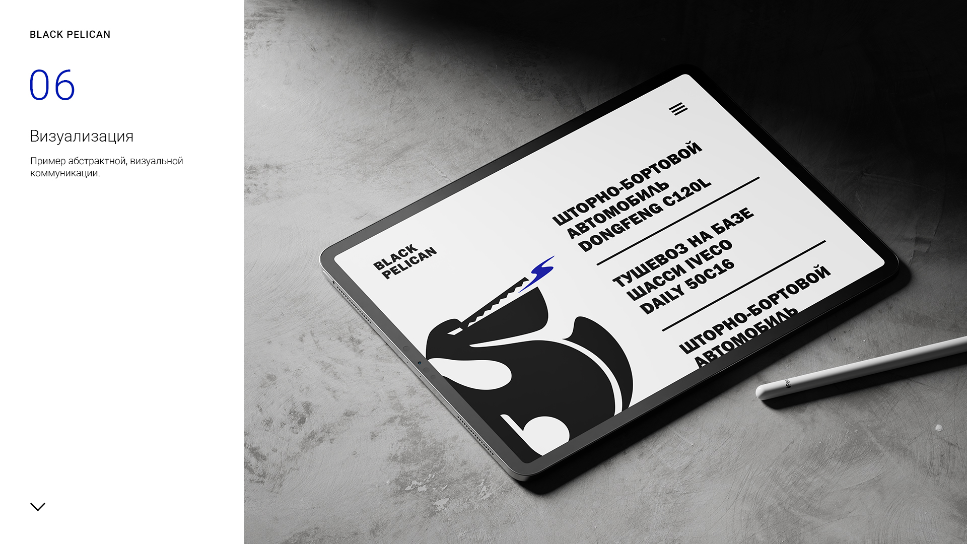 Black_pelican_logo_presentation_1-6.jpg