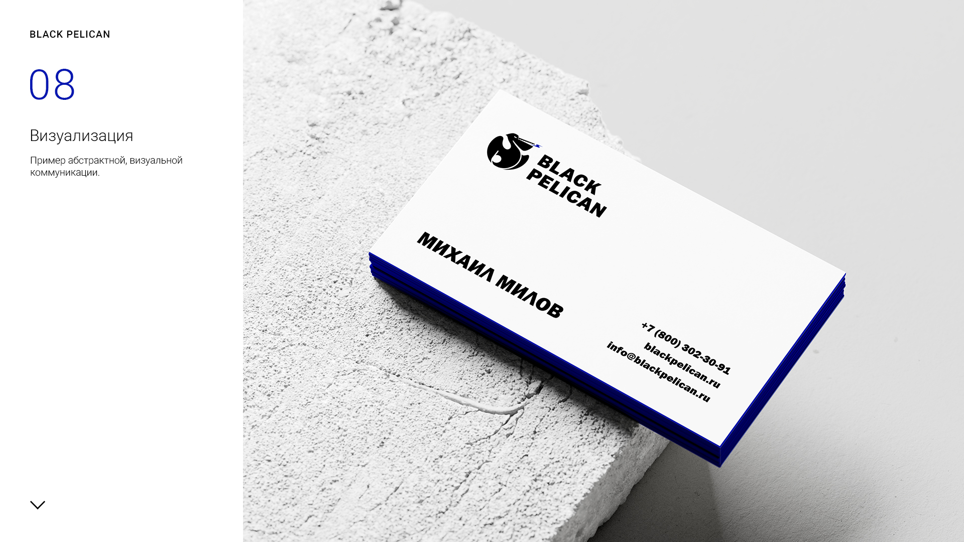 Black_pelican_logo_presentation_1-8.jpg