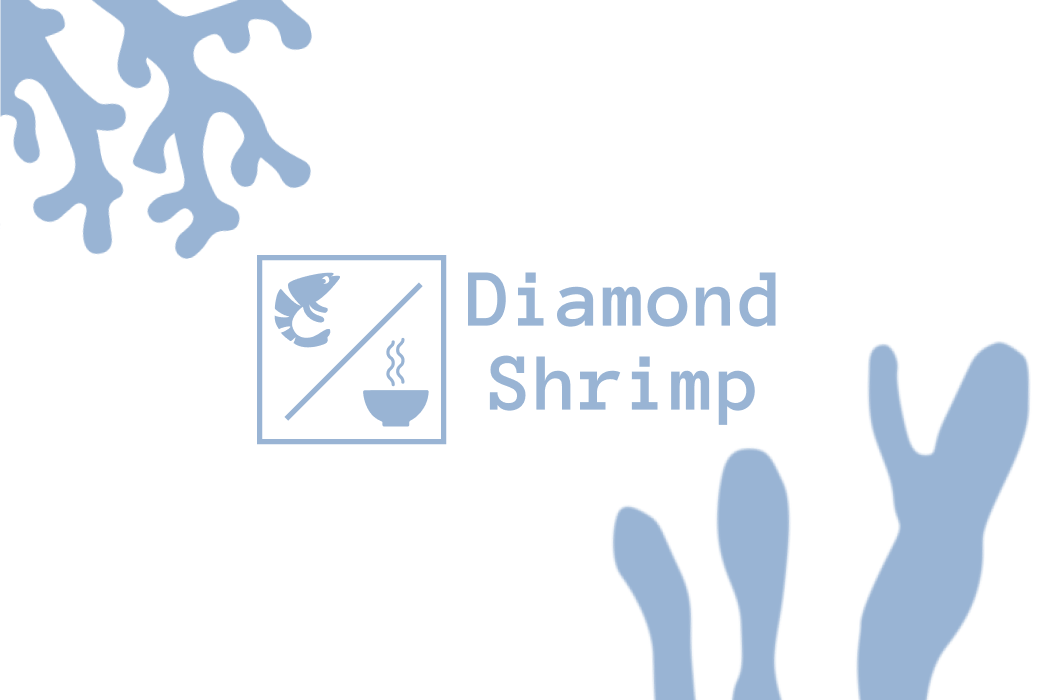 Diamond Shrimp - премиум ресторан морепродуктов