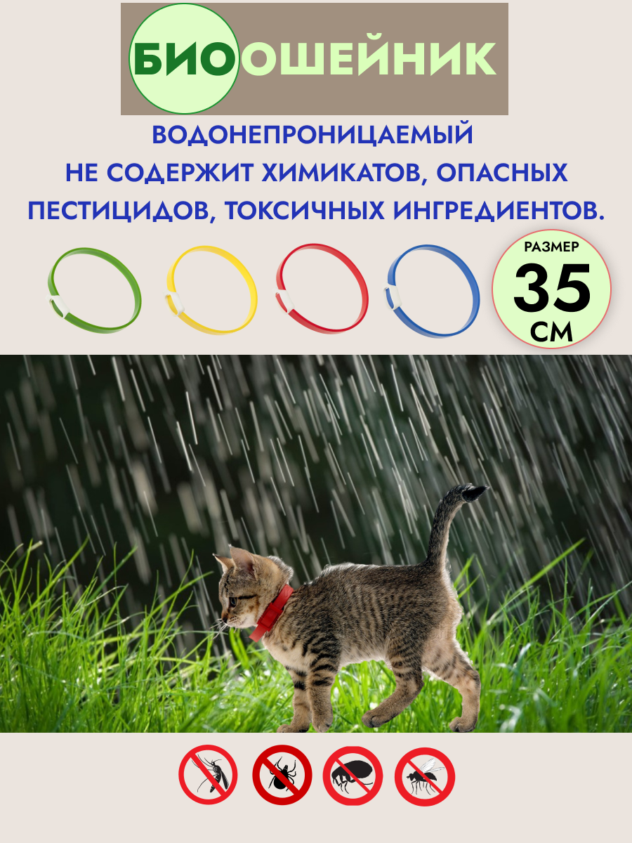 Ошейник 2.png