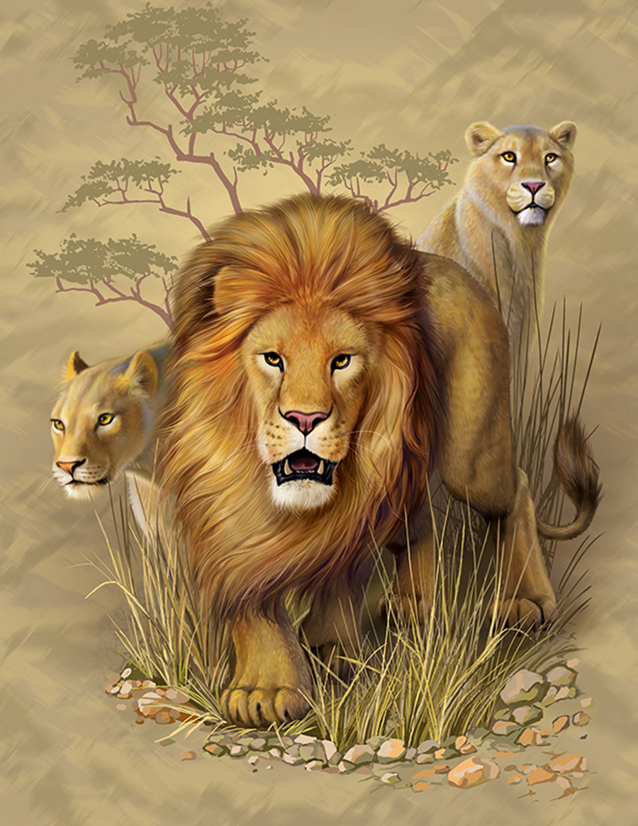 футболка лев готовый копия.jpg