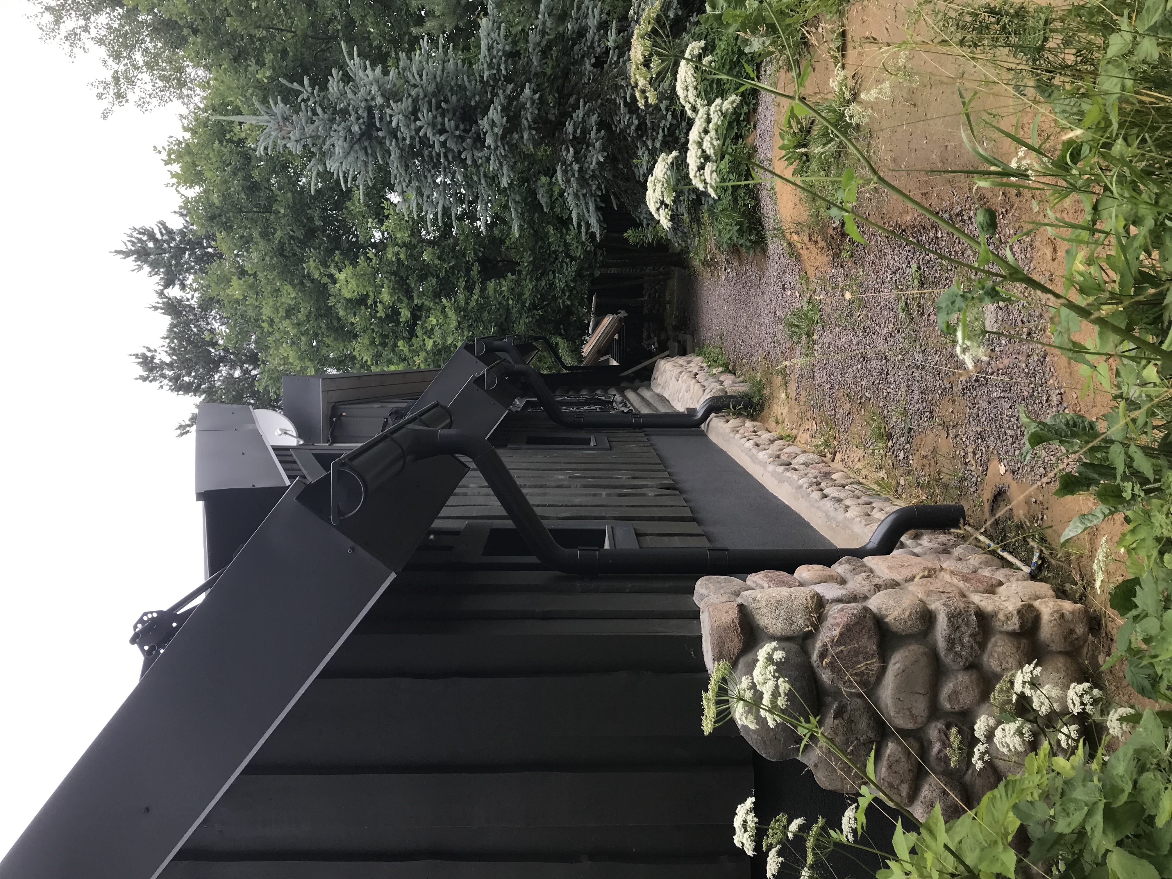 20190704_075222013_iOS.jpg