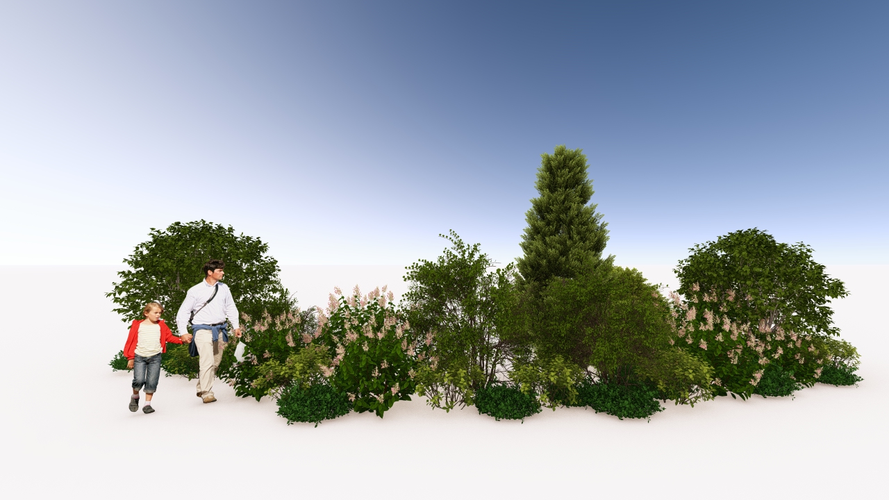 у дома август2.jpg