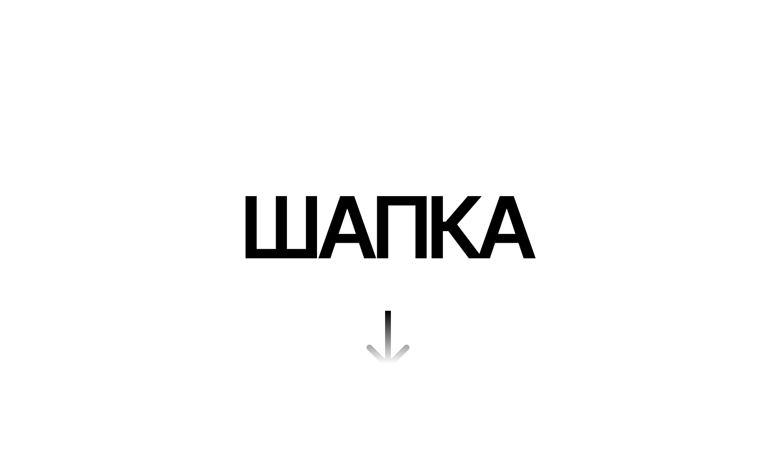 ШАПКА.png