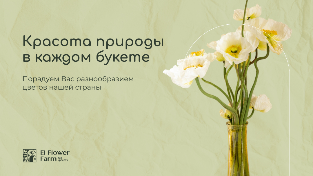 баннер ВК.jpg