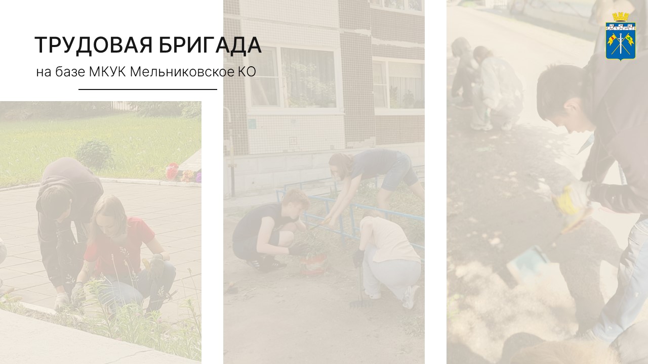 Слайд_9.JPG