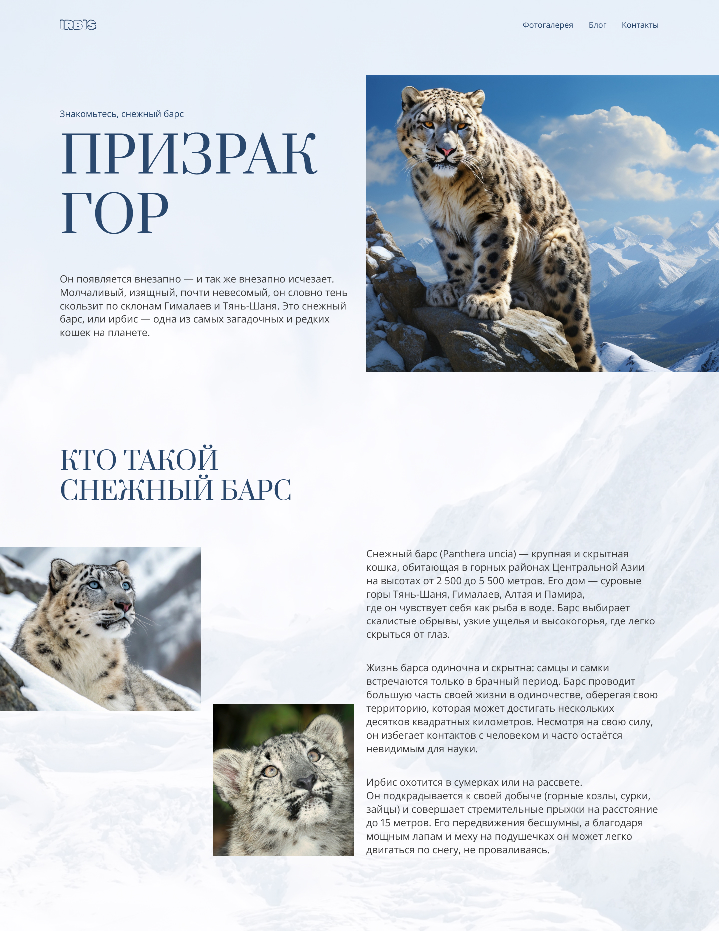 Longrid - итог 1.jpg