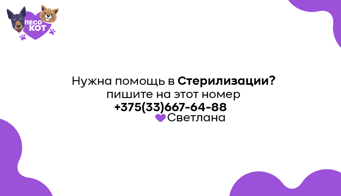 Монтажная область 2.png