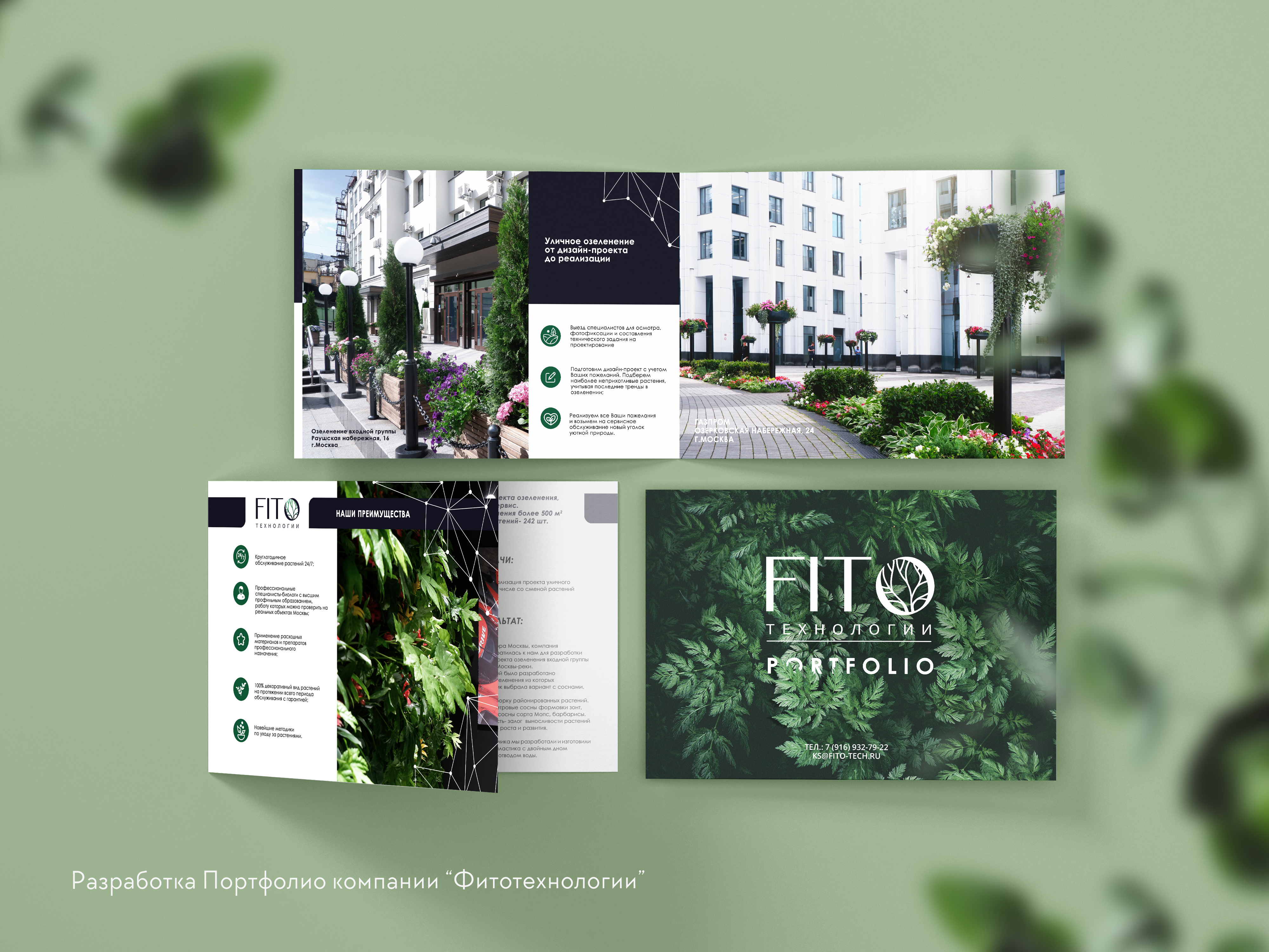 7. фито портфолио.jpg