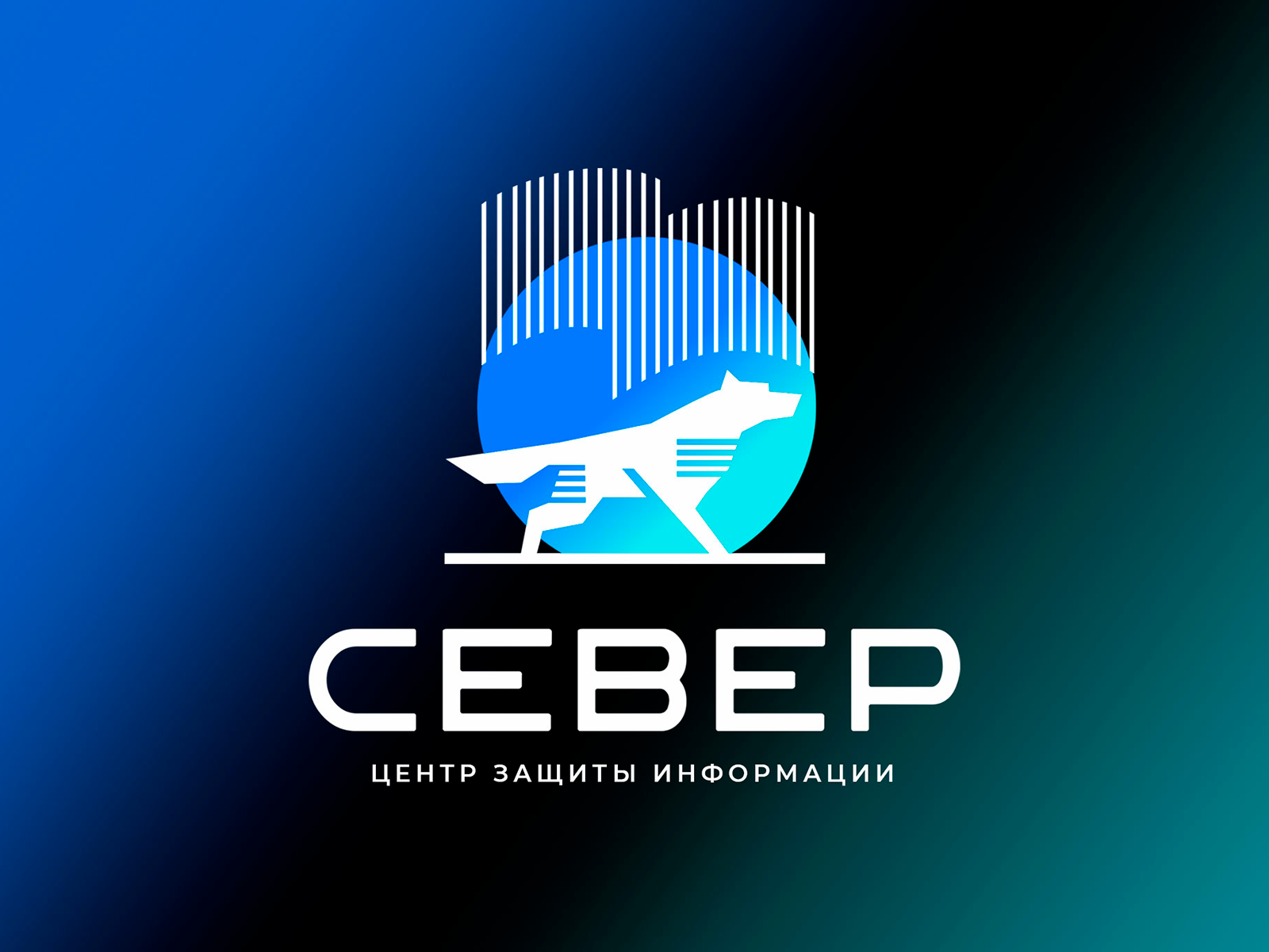 Север -центр защиты информации