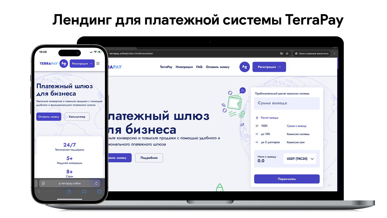 Лендинг для платежной системы TerraPay