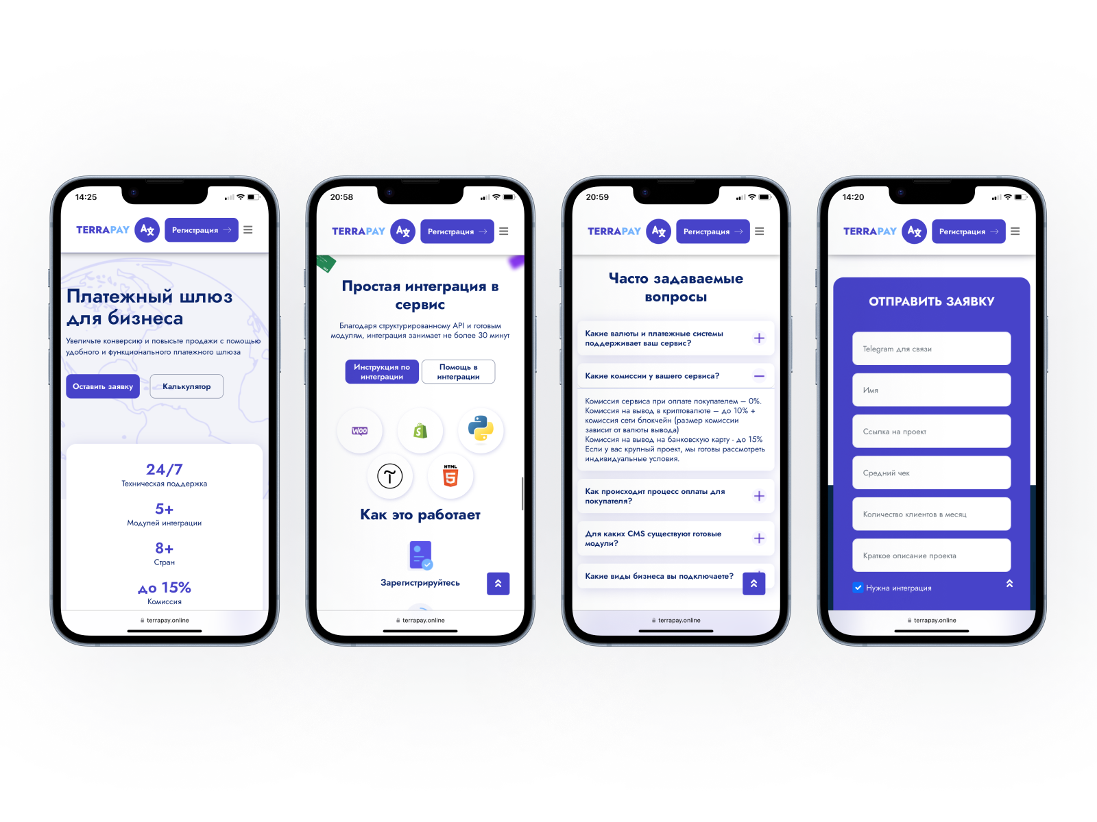 TerraPay1.png