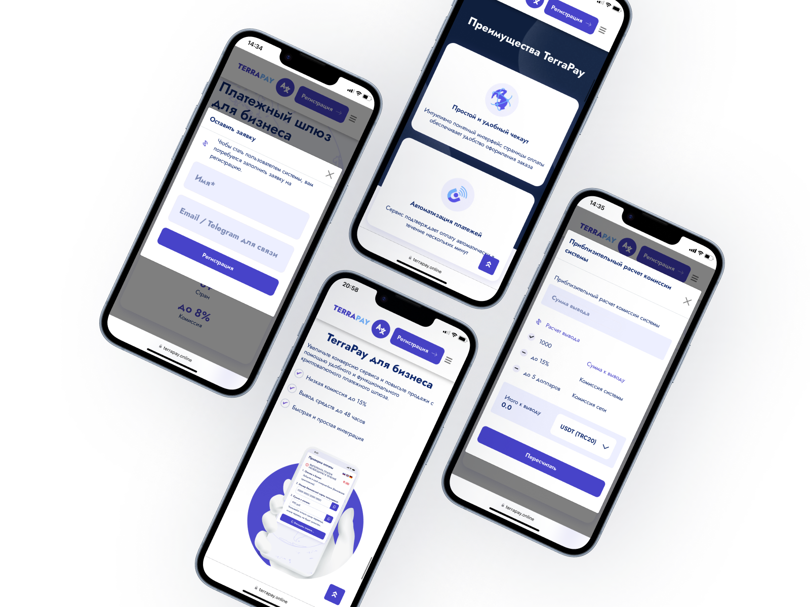TerraPay2.png