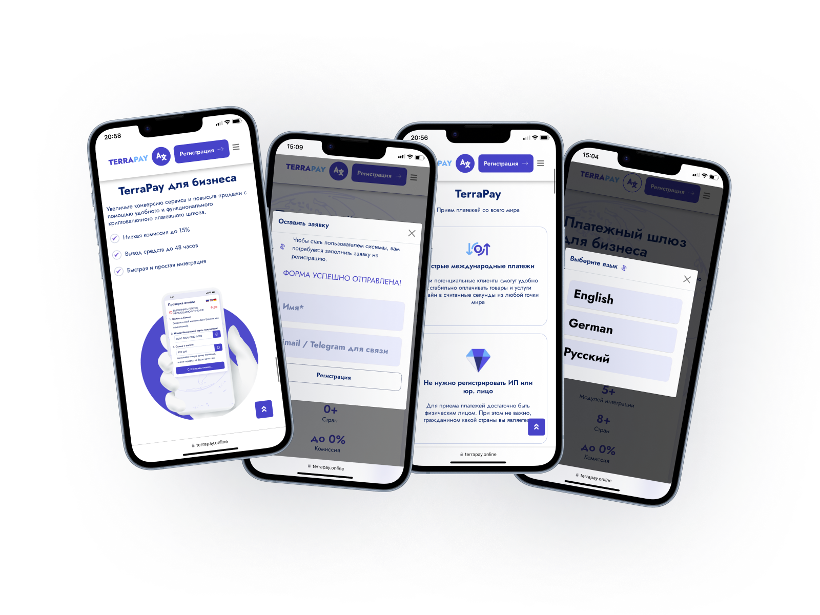 TerraPay3.png