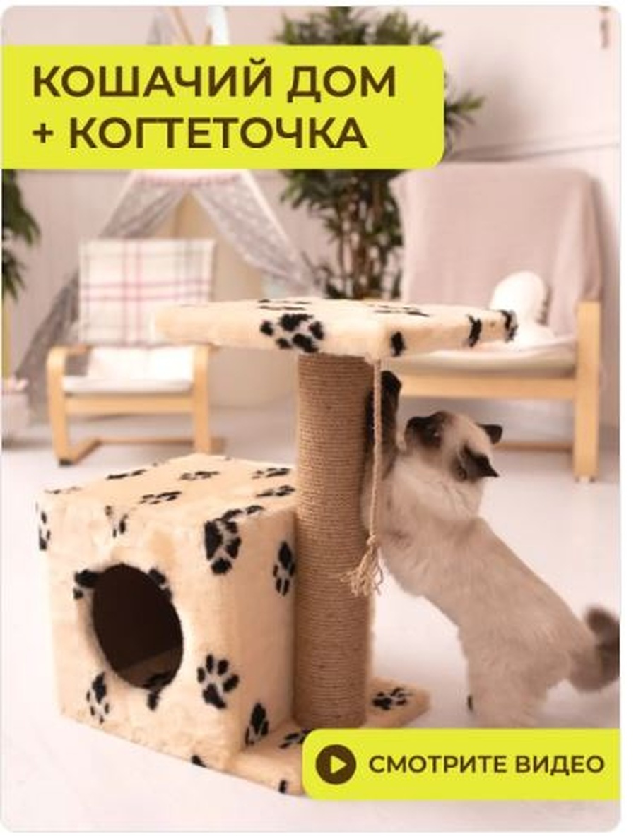 Снимок 3.jpg