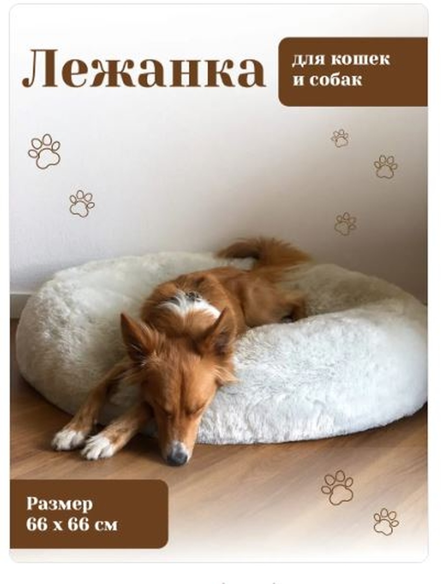 Снимок 4.jpg