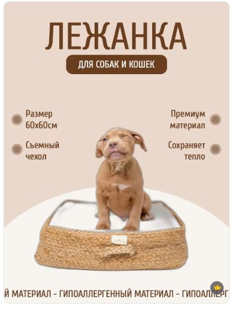 Снимок 5.jpg